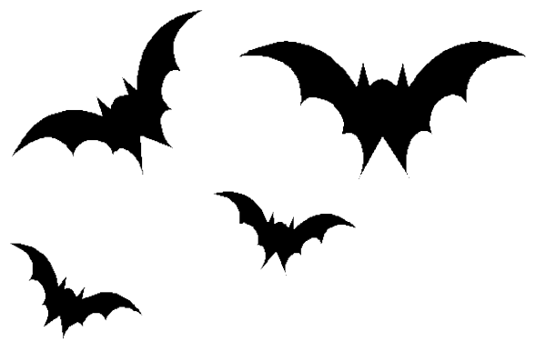Bat Transparent PNG Image