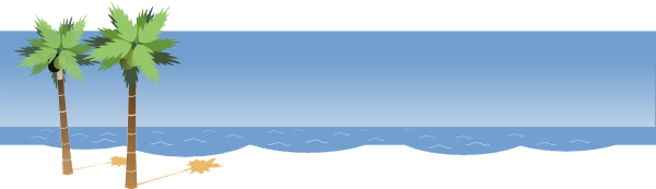 Beach Transparent PNG Image
