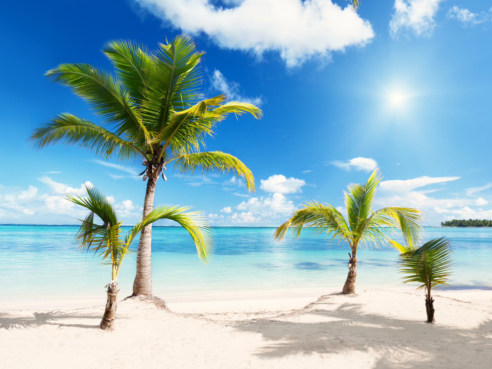 Beach Transparent PNG Image