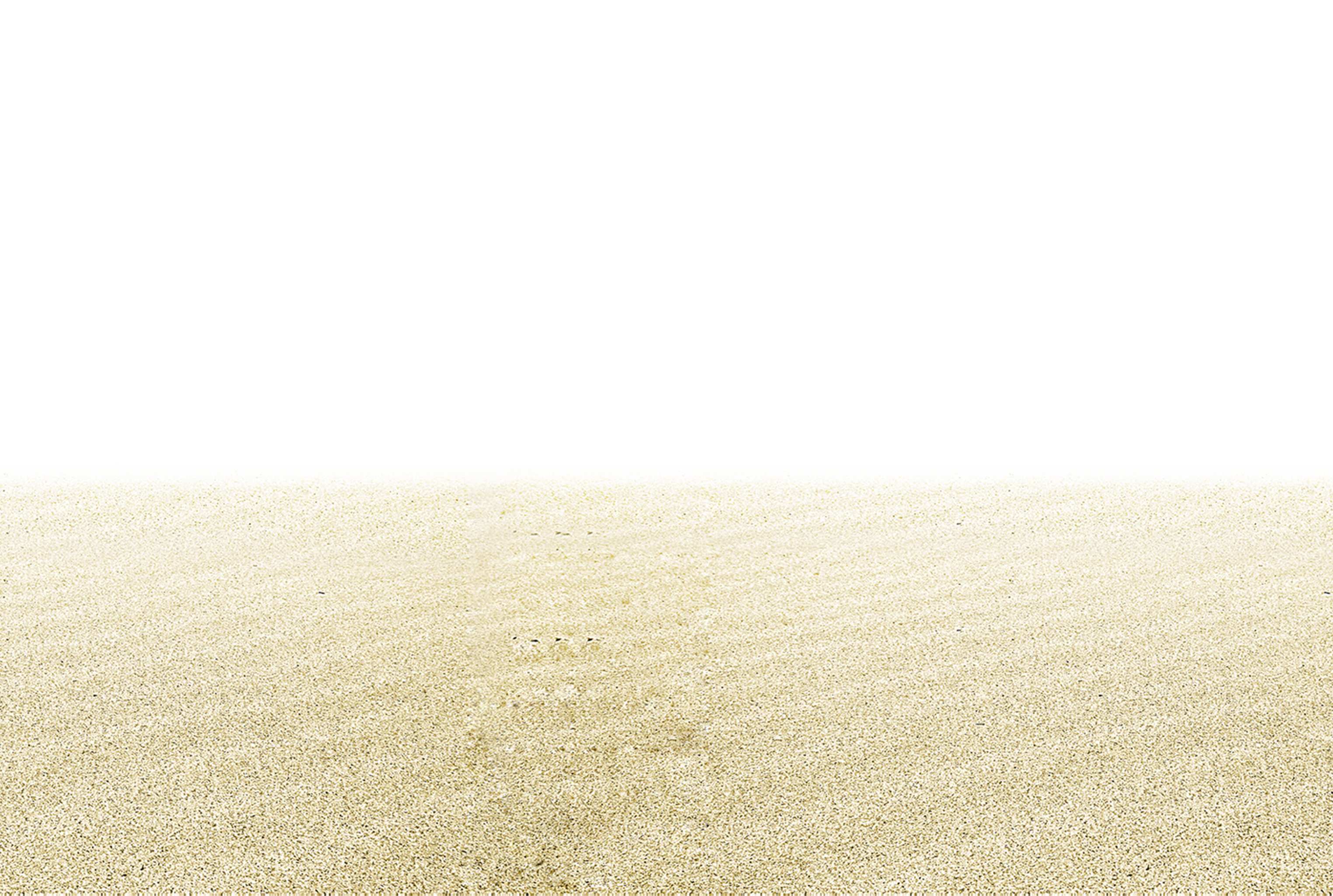 Euclidean Vector Beach Sandy Transparent PNG Image