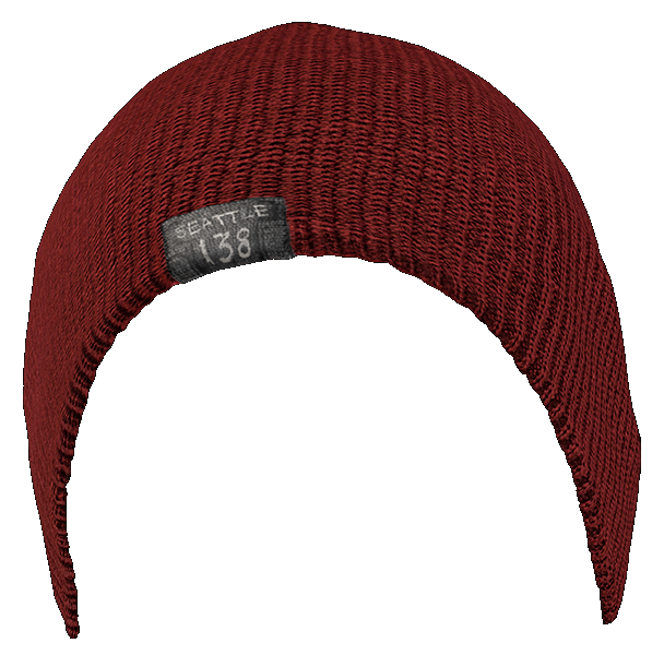 Beanie Hipster File Transparent PNG Image