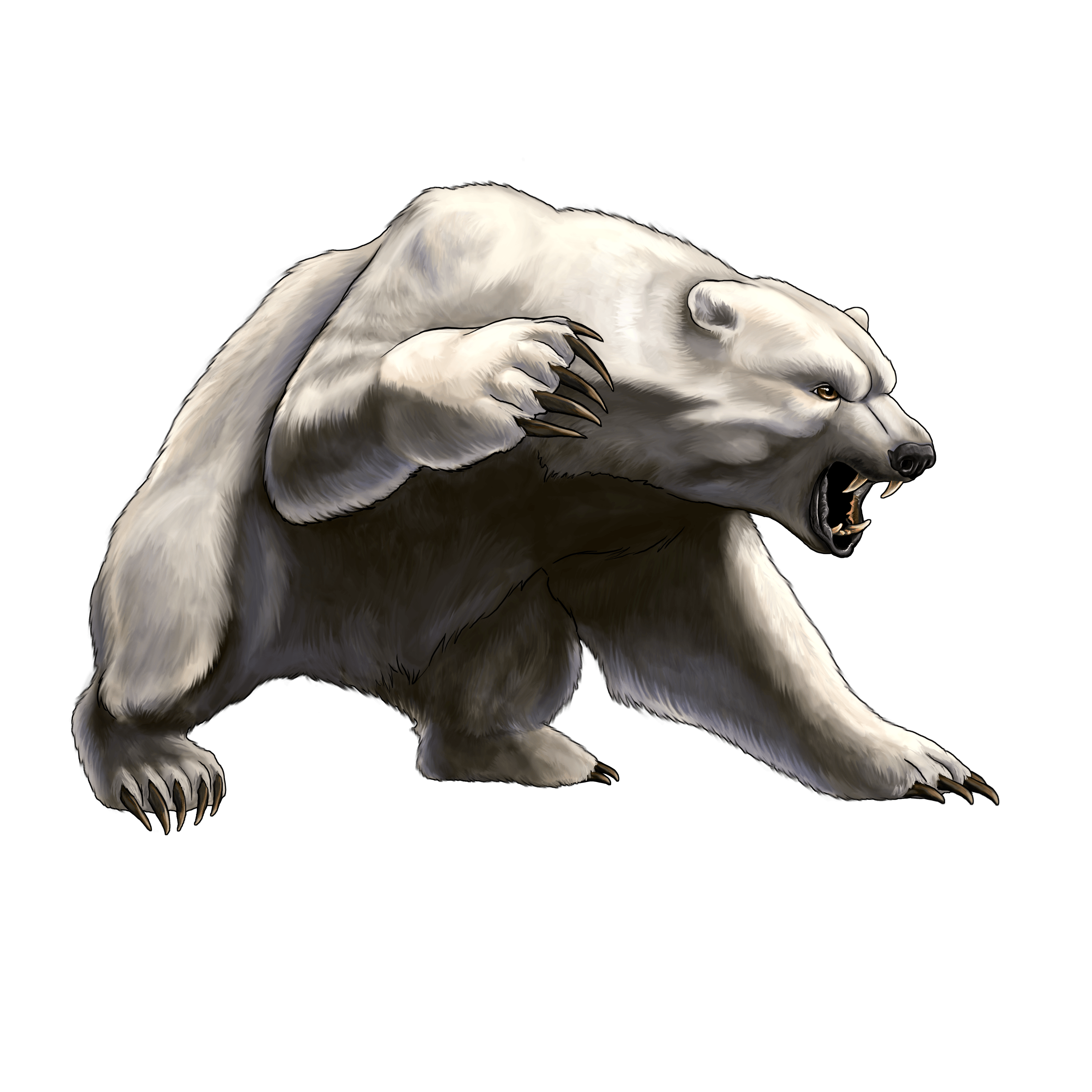 White Angry Bear Transparent PNG Image