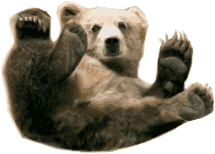 Bear 13 Transparent PNG Image
