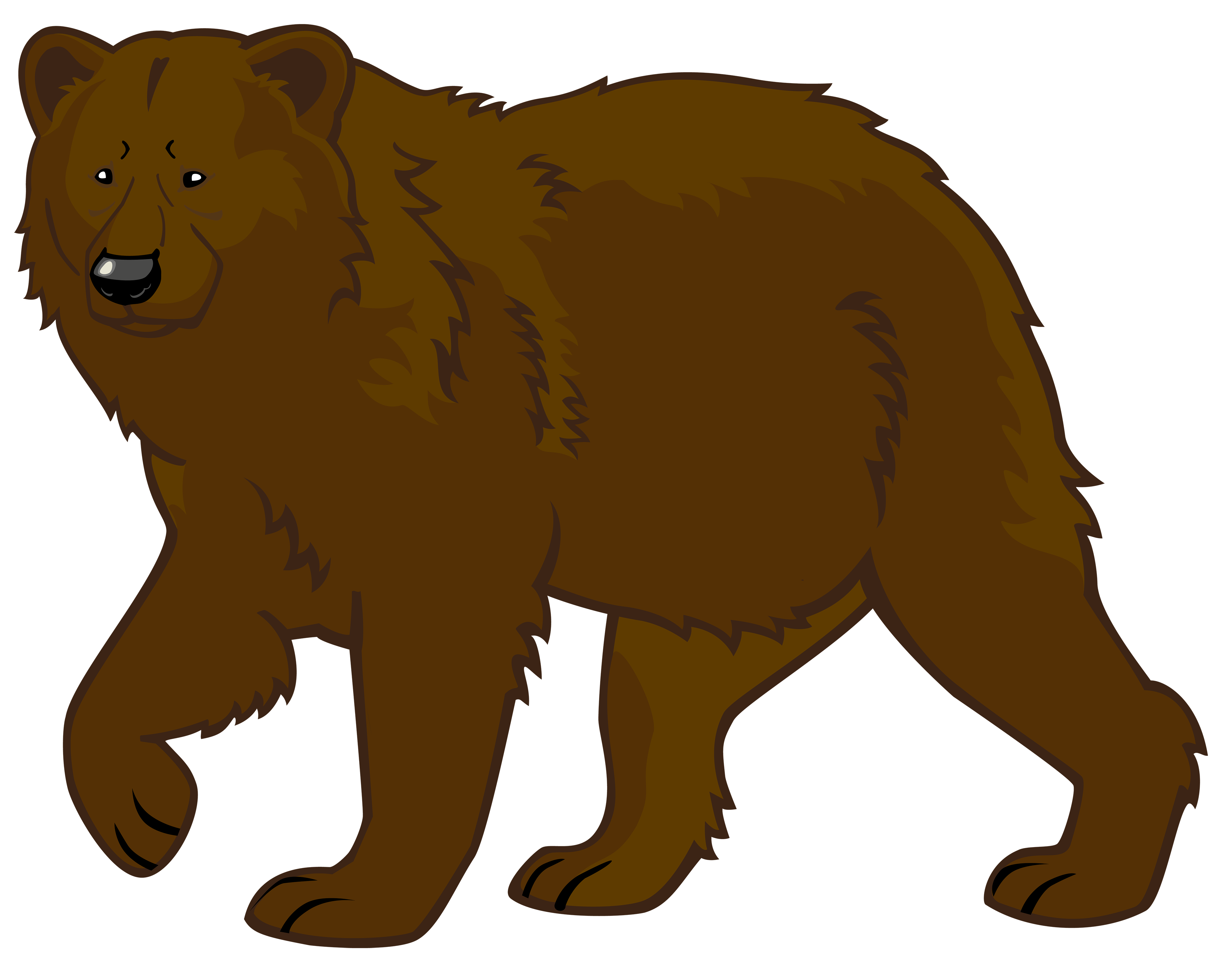 Bear 10 Transparent PNG Image