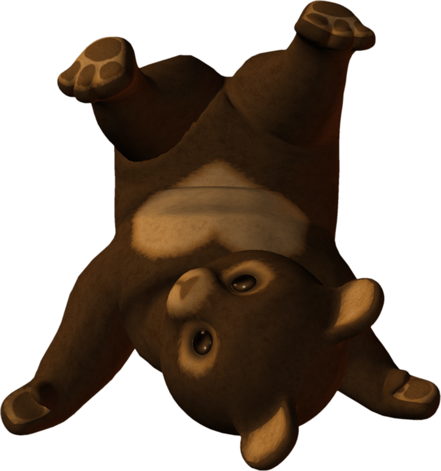 Little Bear Transparent PNG Image