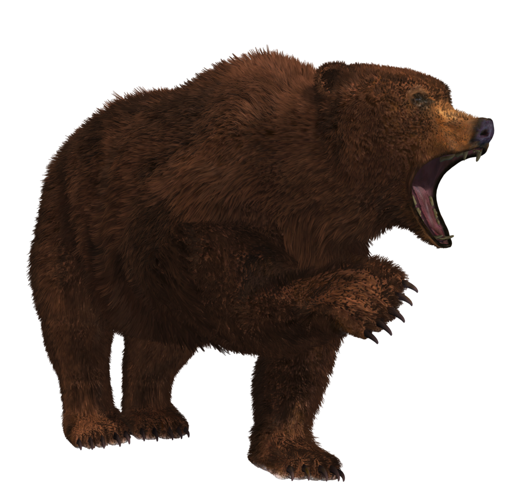 Bear Crawling File Transparent PNG Image