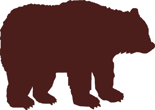 Vector Bear Transparent PNG Image