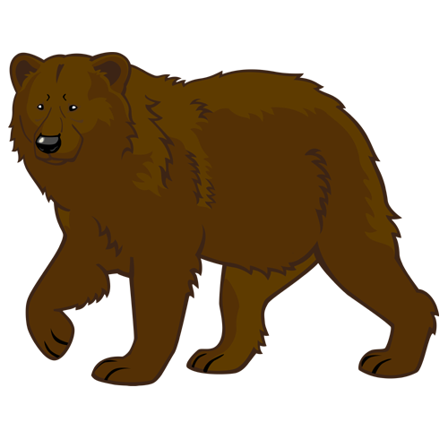 Vector Bear Transparent PNG Image