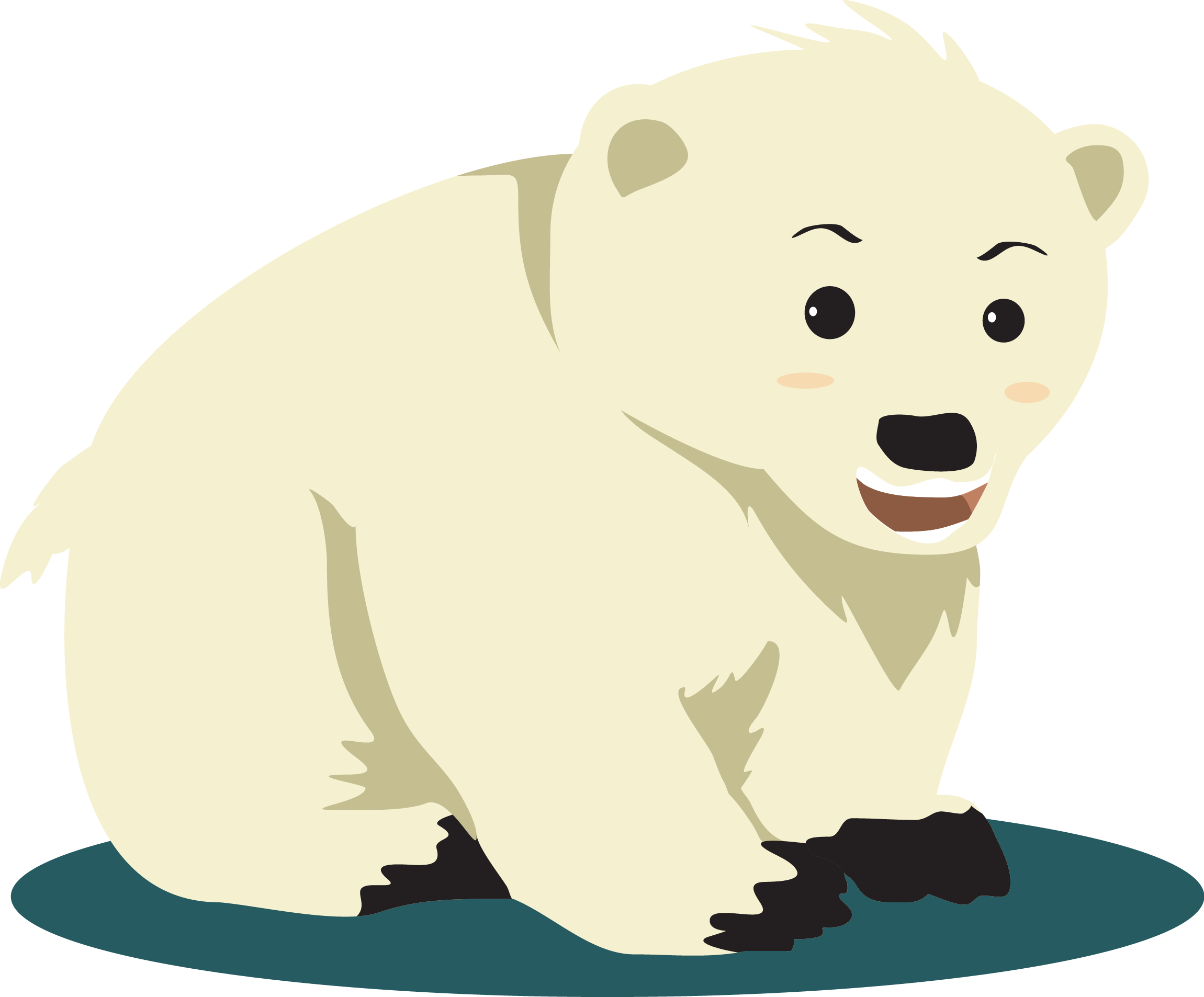 Polar Vector Bear Transparent PNG Image