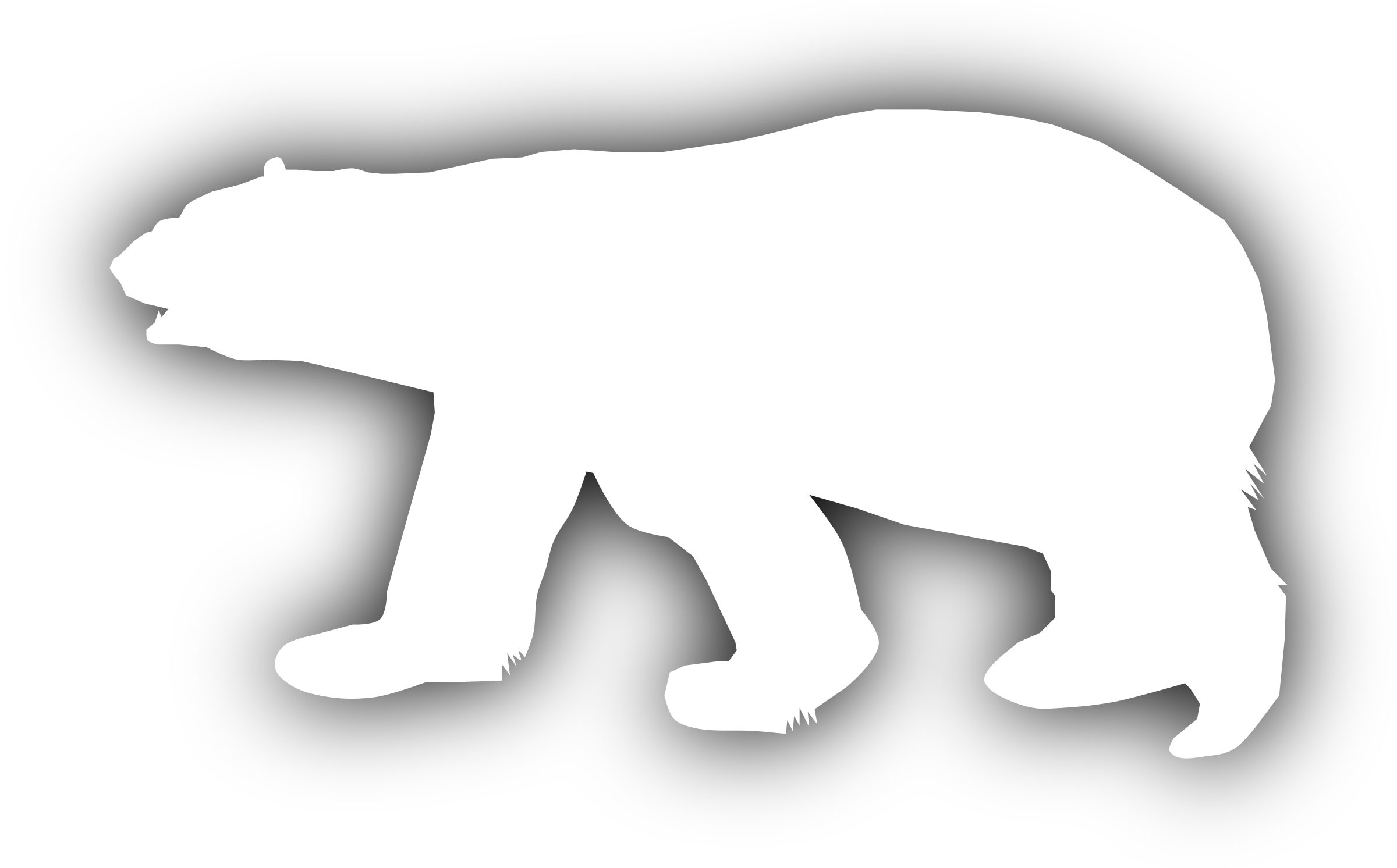 Polar Vector Bear Transparent PNG Image
