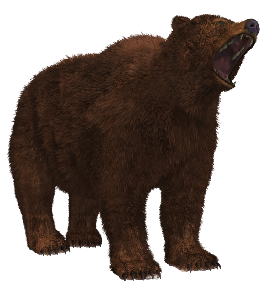 Bear 8 Transparent PNG Image