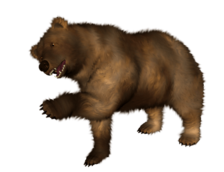 Brown Bear Transparent PNG Image