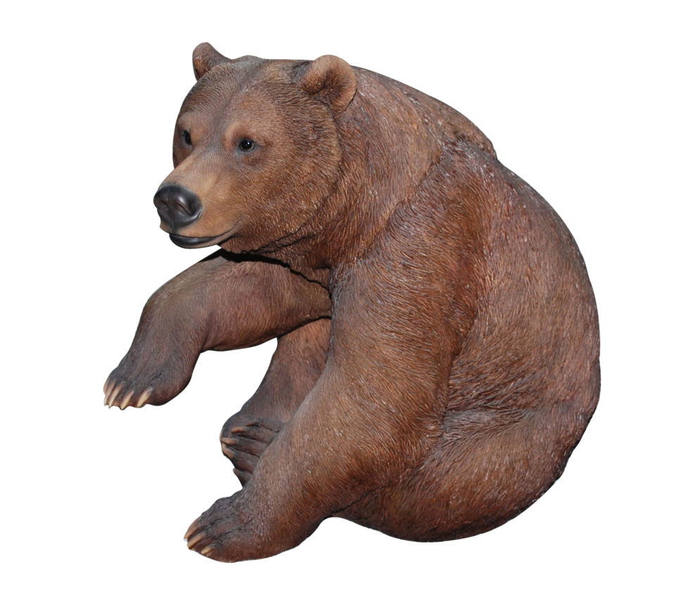 Bear 6 Transparent PNG Image