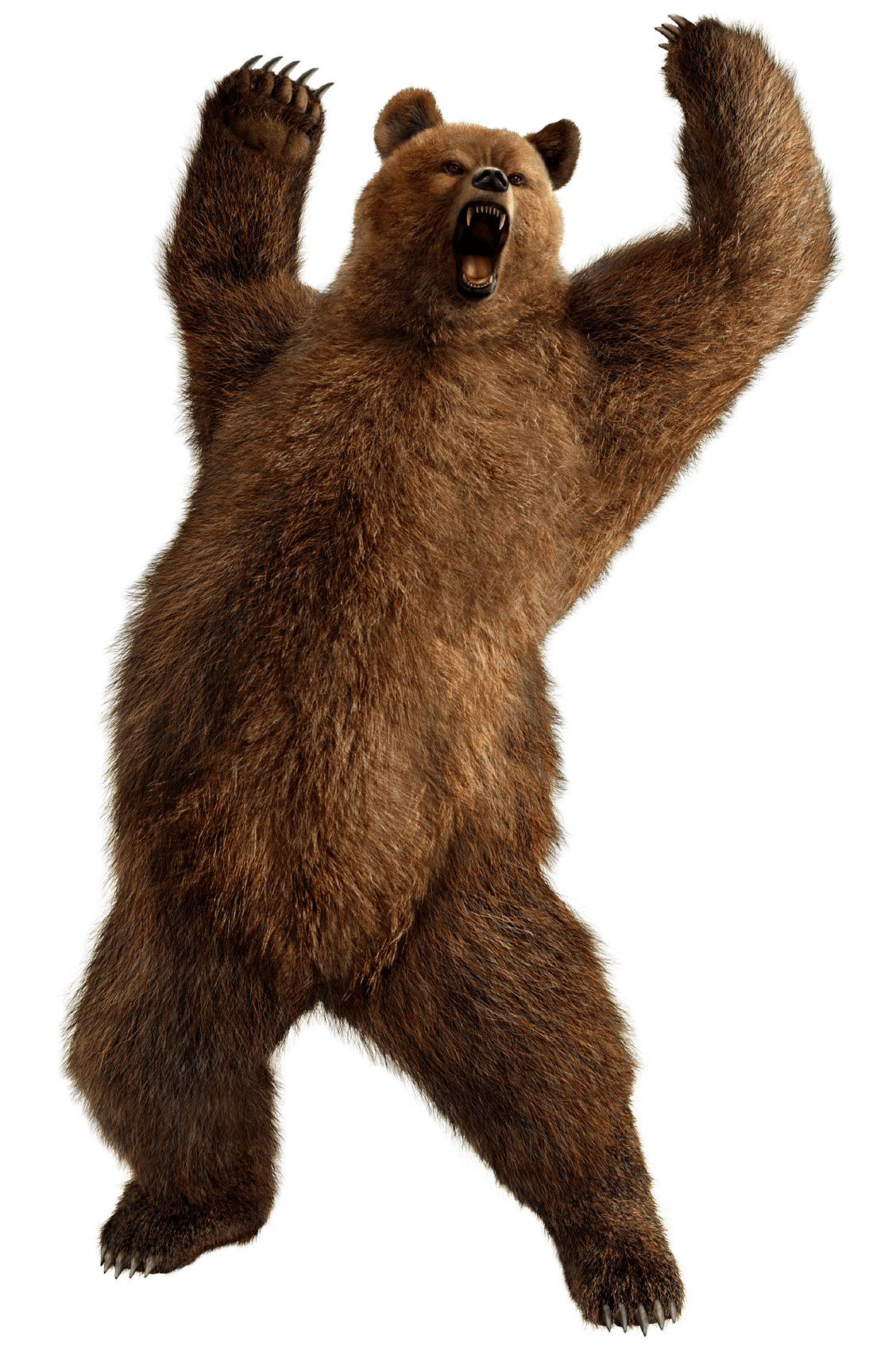 Brown Greezly Bear Transparent PNG Image