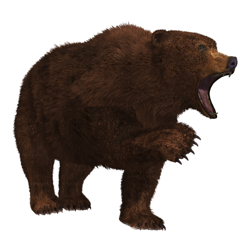Bear 7 Transparent PNG Image