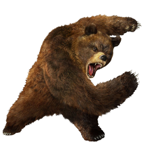 Bear 5 Transparent PNG Image