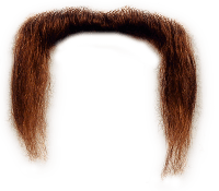 Moustache Transparent PNG Image
