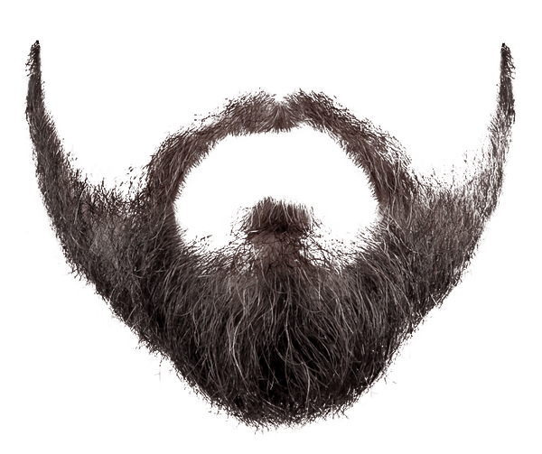 Beard Transparent PNG Image