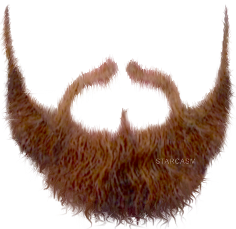 Beard Transparent PNG Image