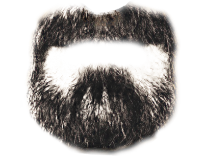 hop Beard Transparent PNG Image