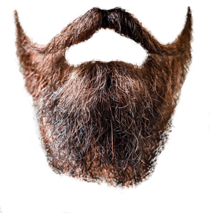 Beard 4 Transparent PNG Image
