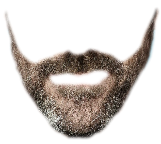 Beard 9 Transparent PNG Image