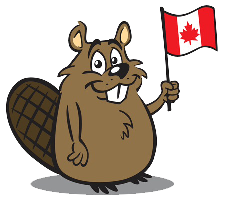 Beaver Transparent PNG Image