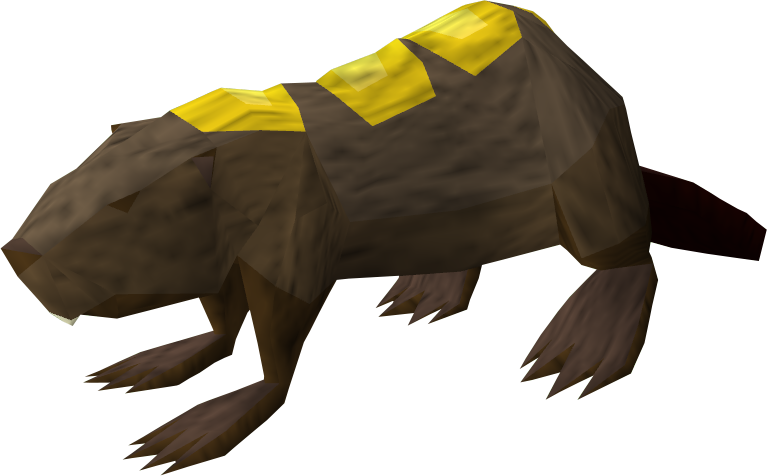 Beaver Transparent PNG Image