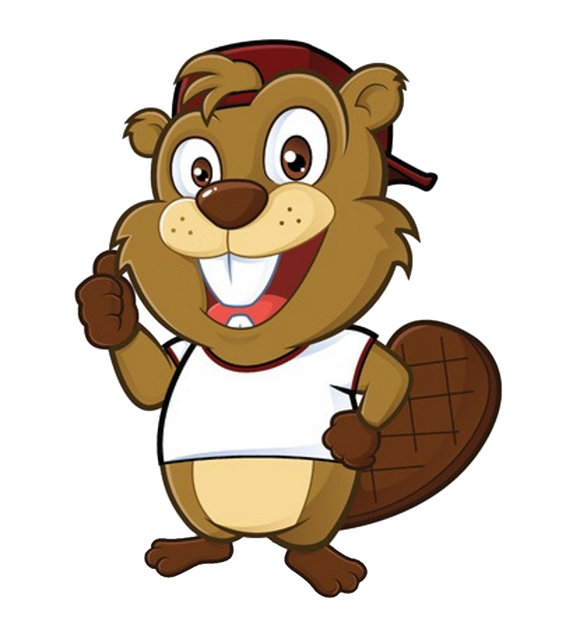 Beaver Transparent PNG Image