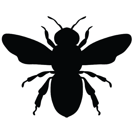 Honey Vector Bee Transparent PNG Image