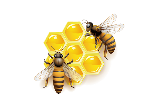 Honey Vector Bee Transparent PNG Image