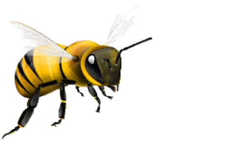 Honey Flying Bee Transparent PNG Image