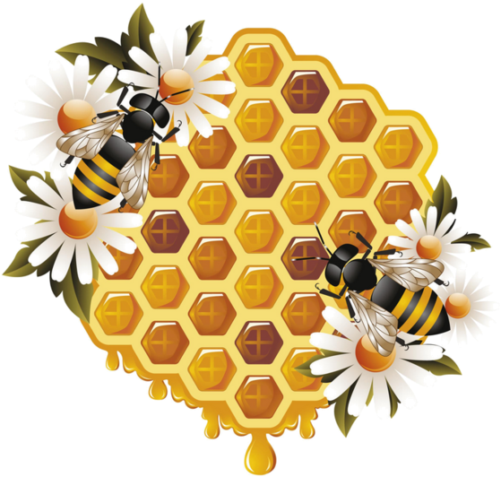 Honey Vector Bee Transparent PNG Image
