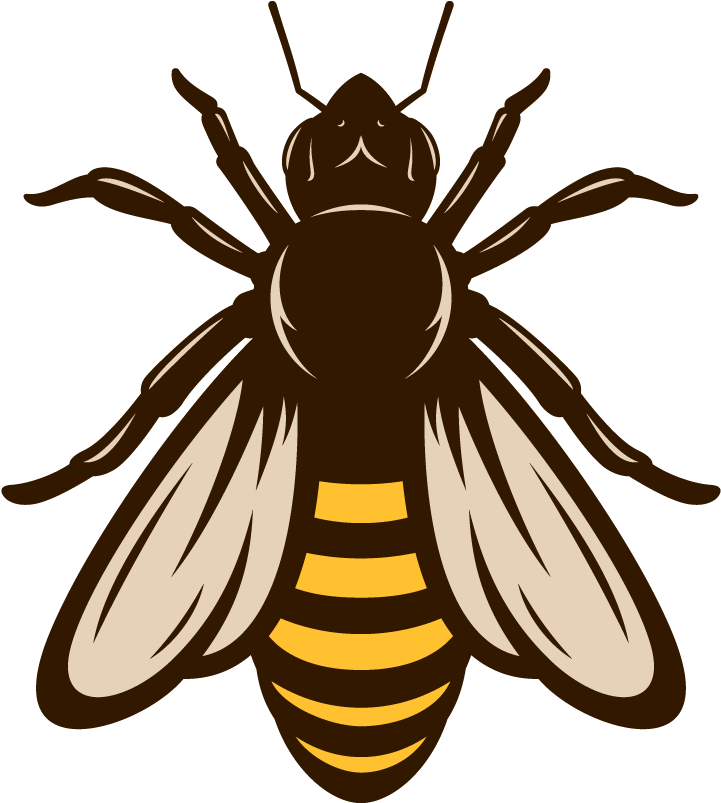 Honey Vector Bee Transparent PNG Image