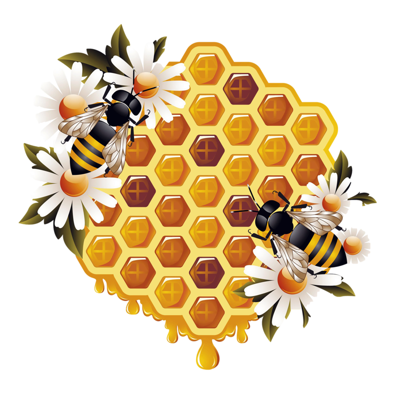 Honey Yellow Bee Transparent PNG Image