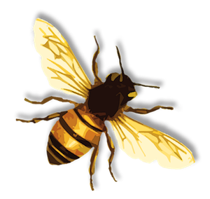 Bee 5 Transparent PNG Image