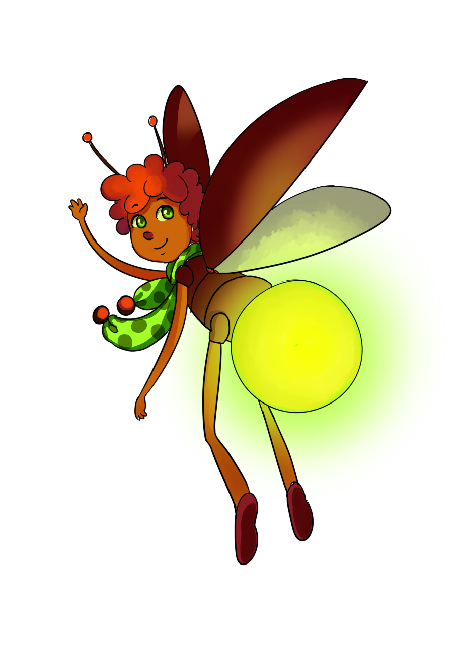 Firefly Insect Invertebrate Drawing Setsuko Transparent PNG Image