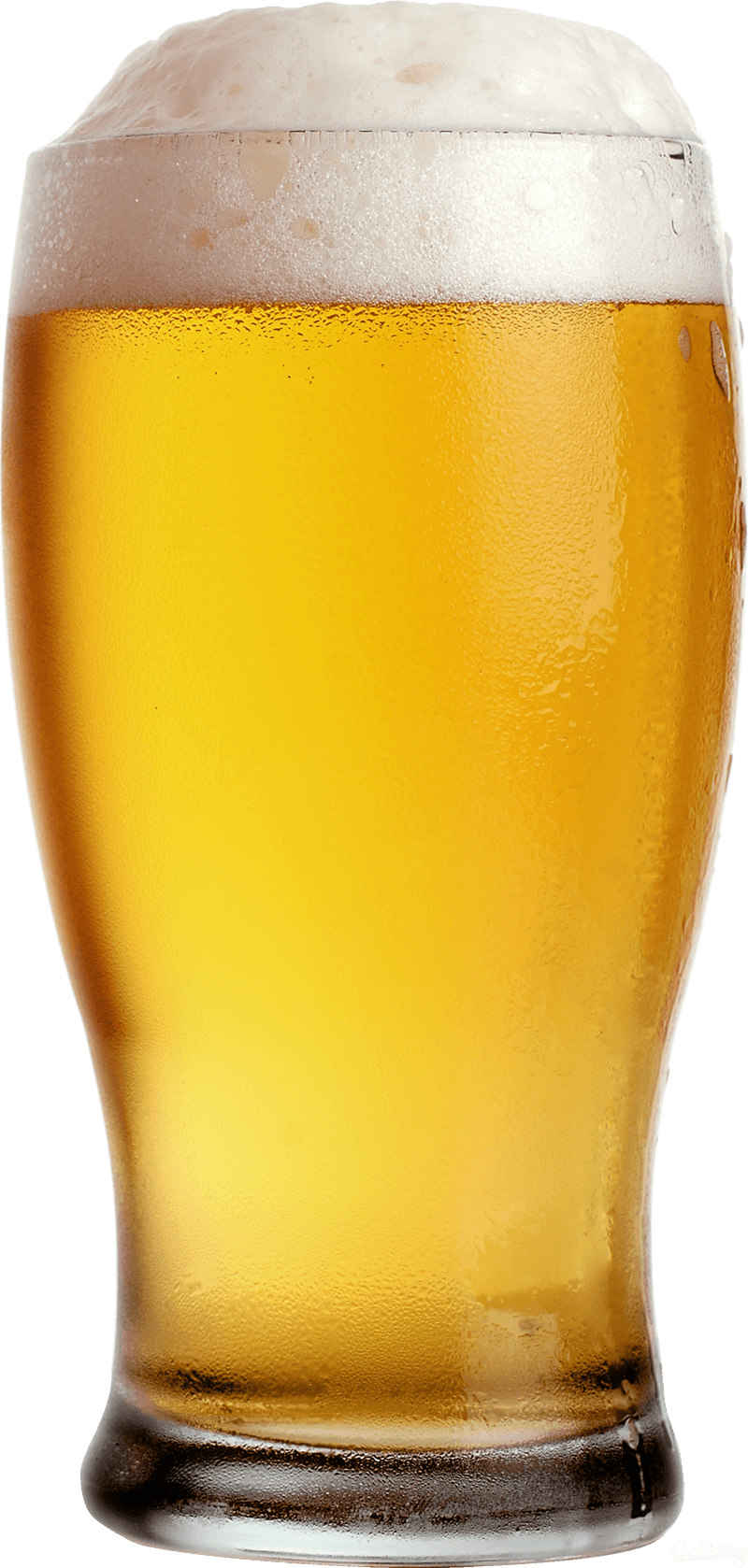 Beer Transparent PNG Image