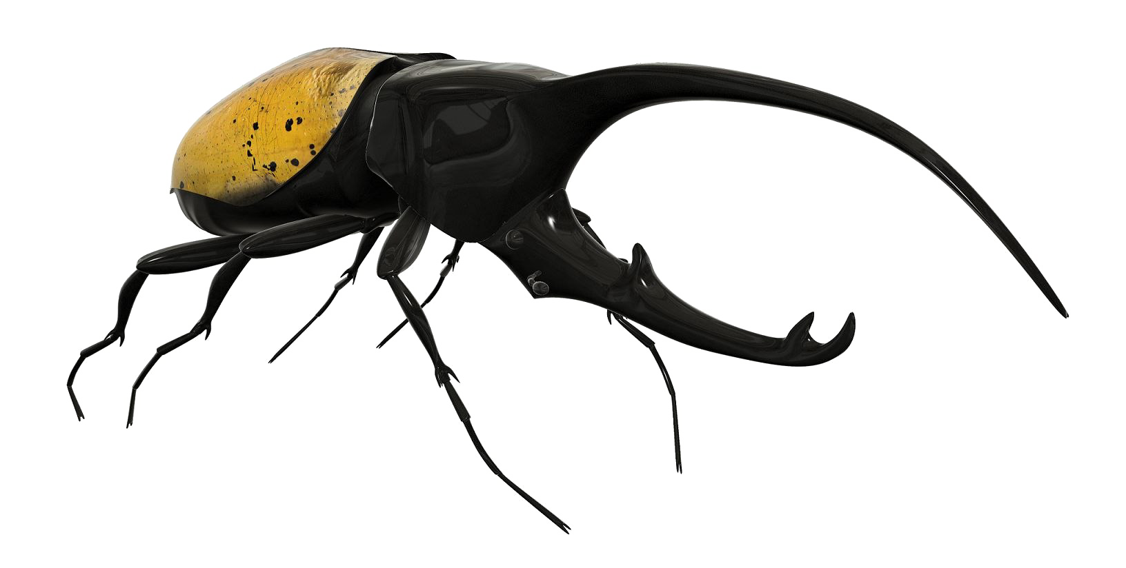 Beetle Transparent PNG Image