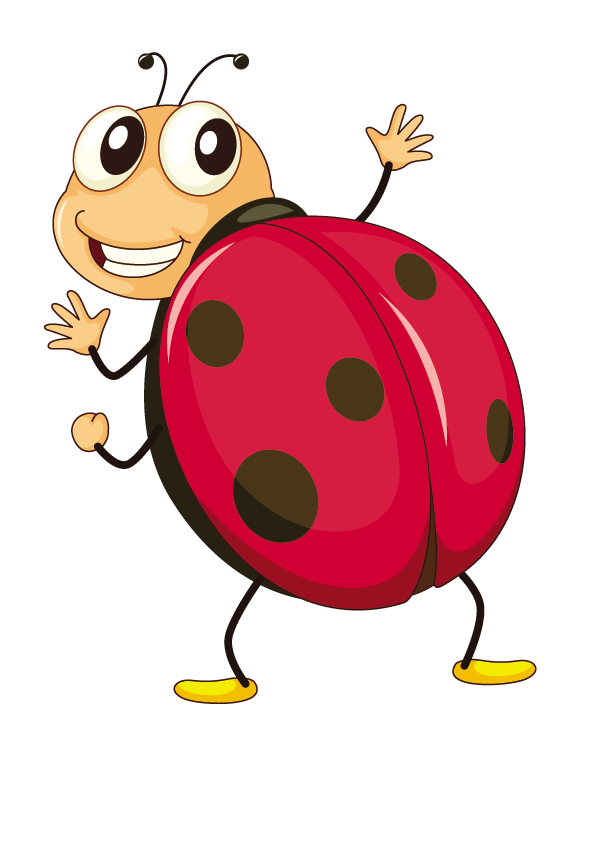 Butterfly Ladybird Insect Fruit Cartoon Transparent PNG Image