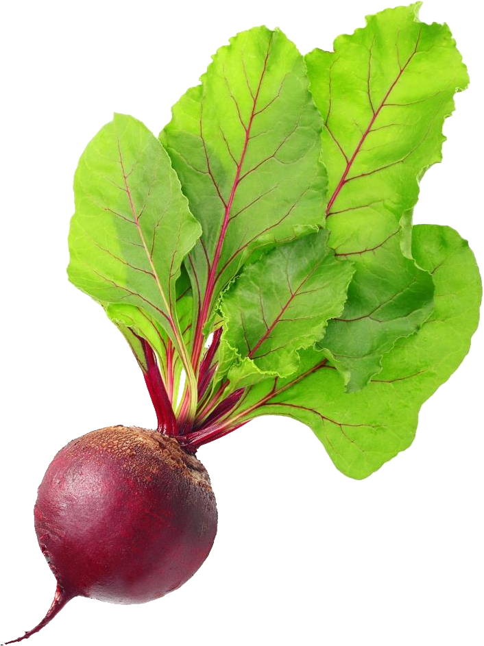 Beetroot Vegetable Transparent PNG Image