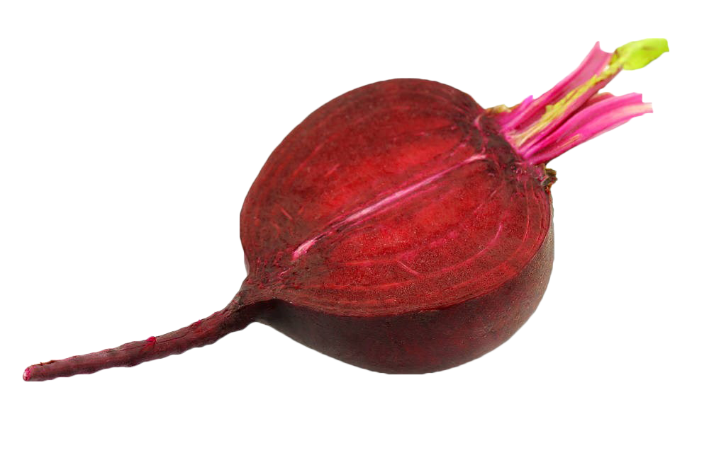 Beetroot Sliced Single Transparent PNG Image