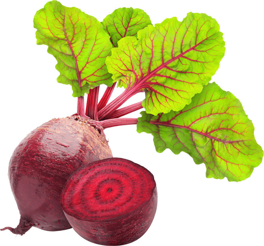 Beetroot Organic Transparent PNG Image