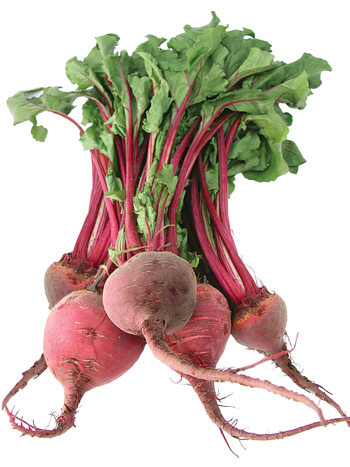 Beetroot Red Bunch Transparent PNG Image