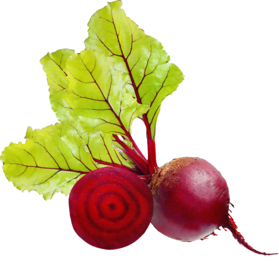 Beetroot Fresh Red Sliced Transparent PNG Image