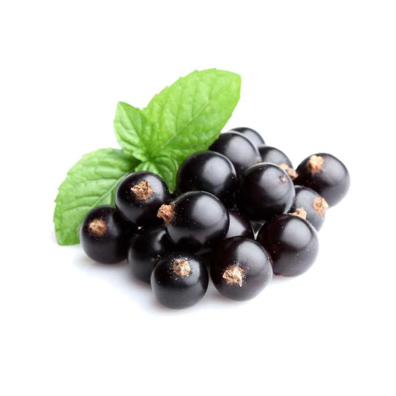 Black Currant Berries Organic Transparent PNG Image