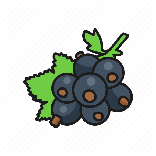 Currant Berries Black Transparent PNG Image
