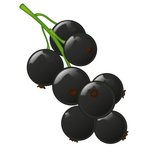 Currant Berries Black Emoji Transparent PNG Image