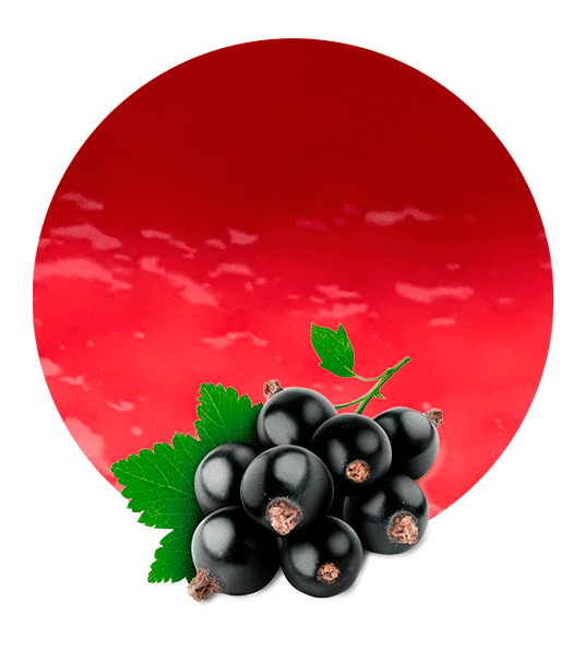 Currant Berries Black Icon Transparent PNG Image