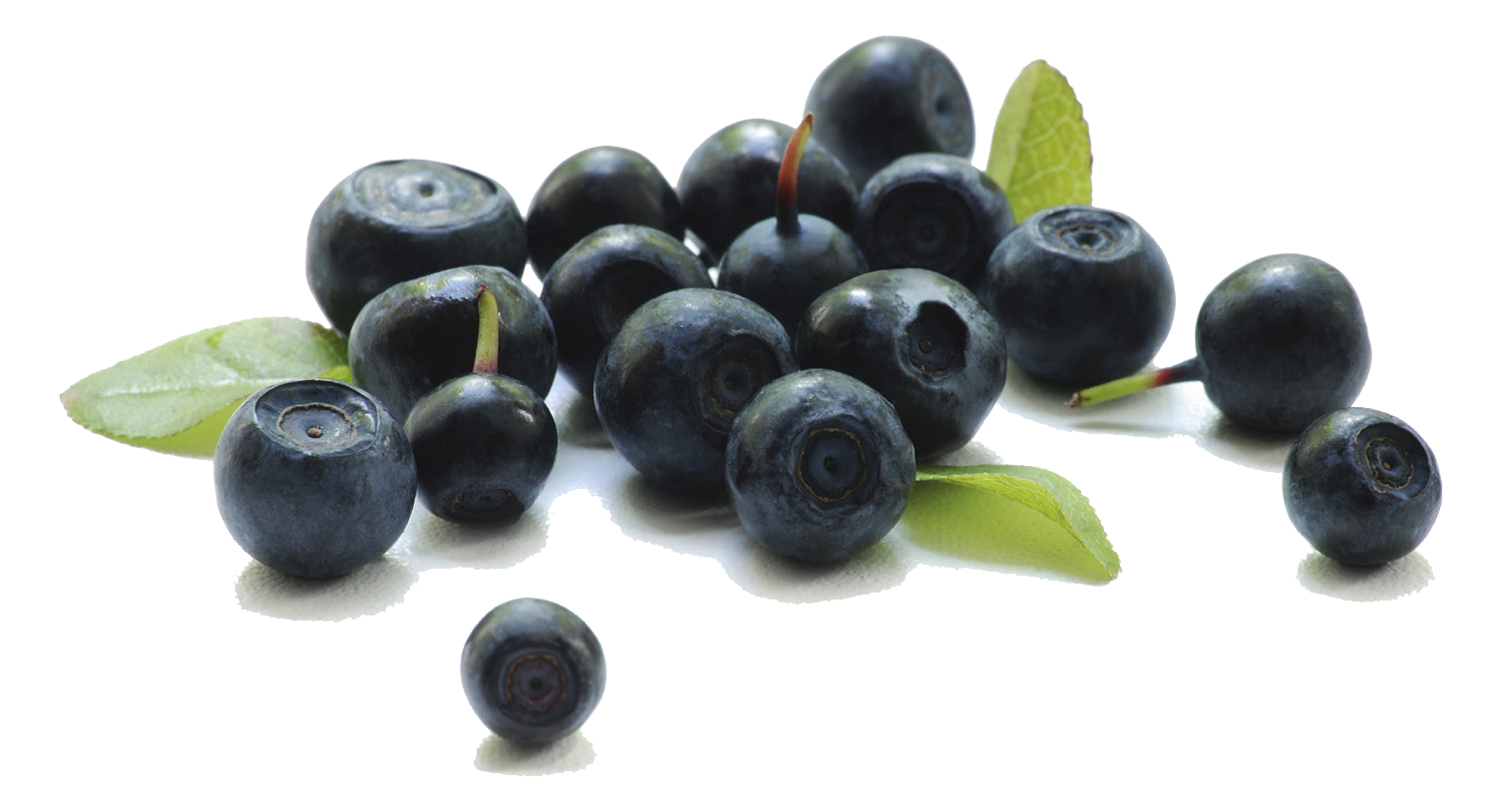 Berries Background Transparent PNG Image